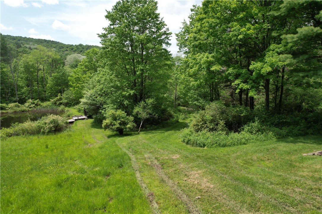 Gay Hollow Road East Spencer, NY 14883 - Photo 40 of 50