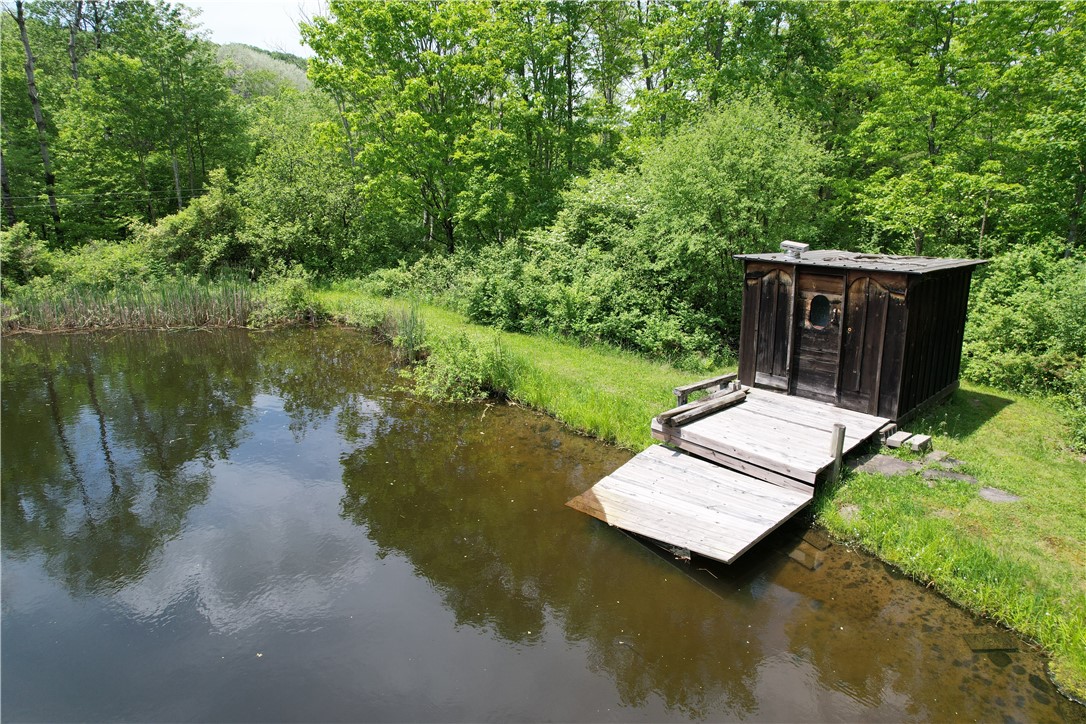 Gay Hollow Road East Spencer, NY 14883 - Photo 4 of 50