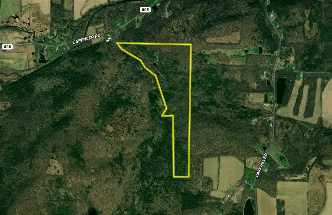 Gay Hollow Road East Spencer, NY 14883 - Photo 45 of 50