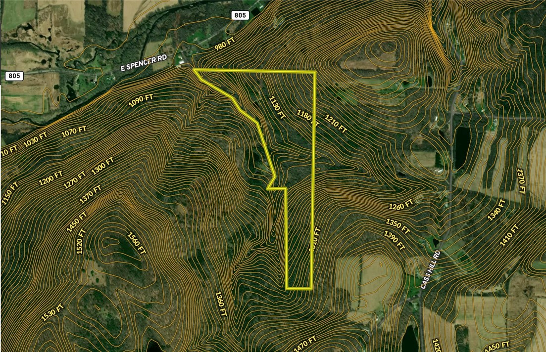 Gay Hollow Road East Spencer, NY 14883 - Photo 46 of 50