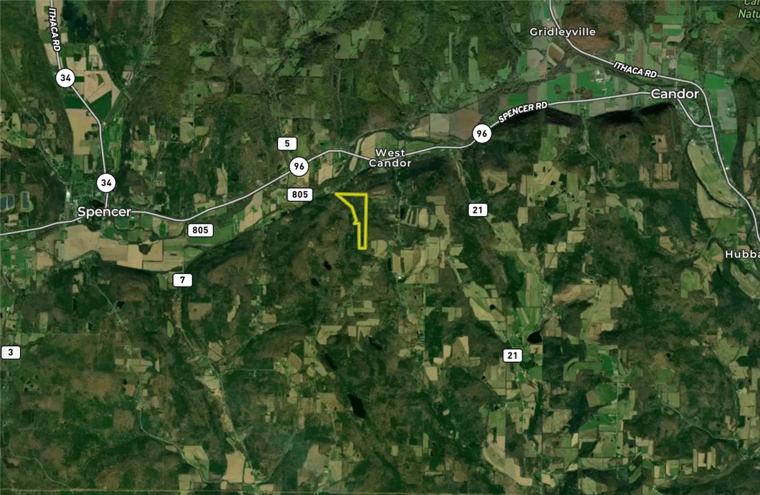 Gay Hollow Road East Spencer, NY 14883 - Photo 50 of 50