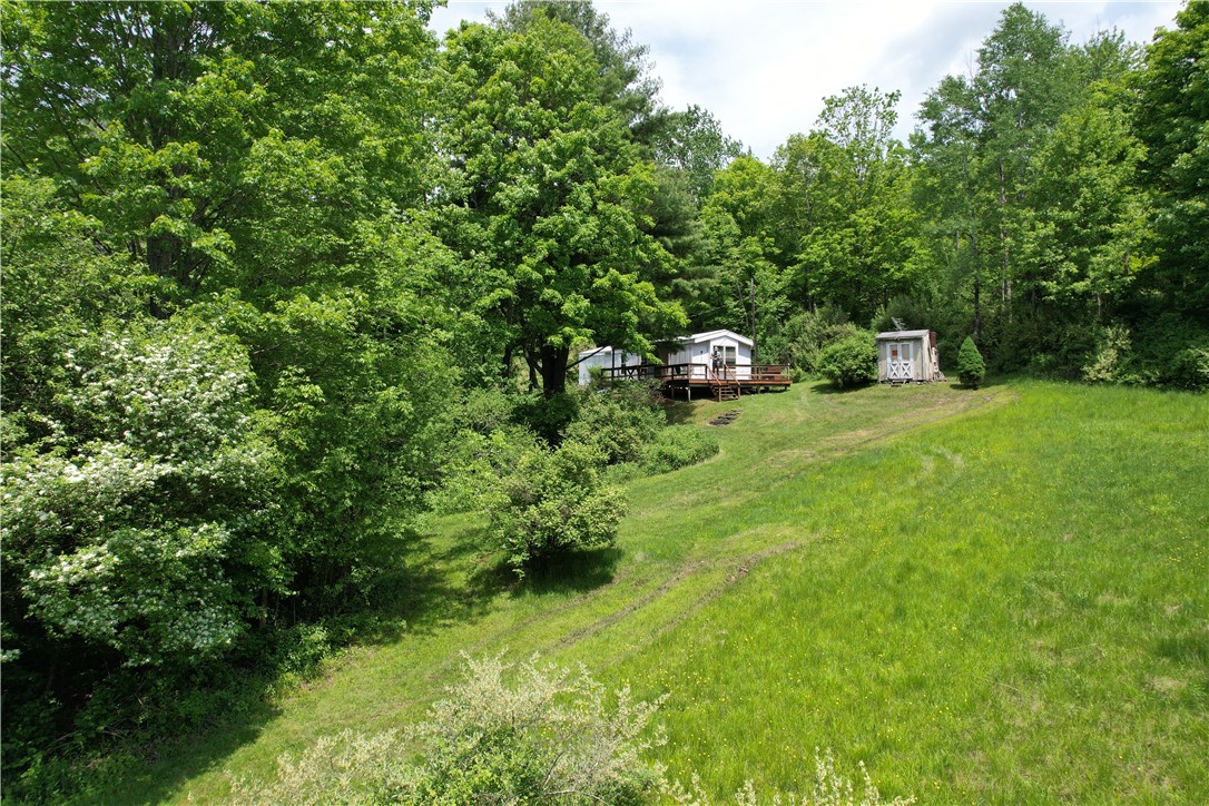 Gay Hollow Road East Spencer, NY 14883 - Photo 5 of 50