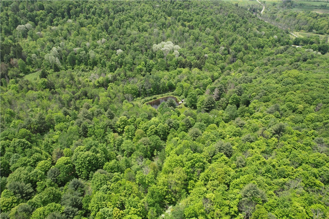 Gay Hollow Road East Spencer, NY 14883 - Photo 7 of 50