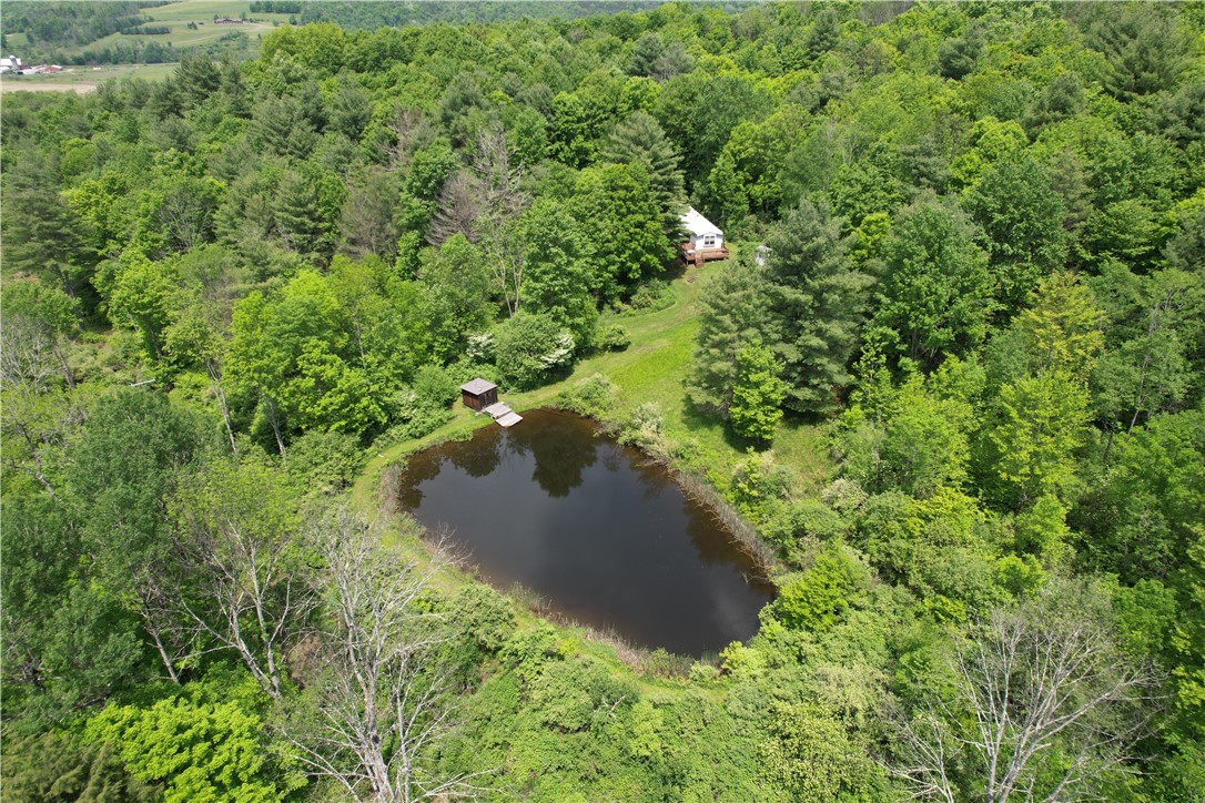 Gay Hollow Road East Spencer, NY 14883 - Photo 8 of 50