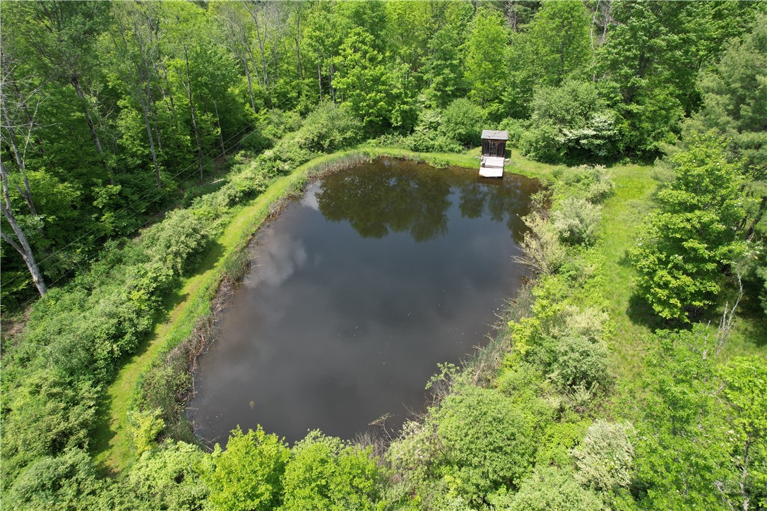 Gay Hollow Road East Spencer, NY 14883 - Photo 9 of 50