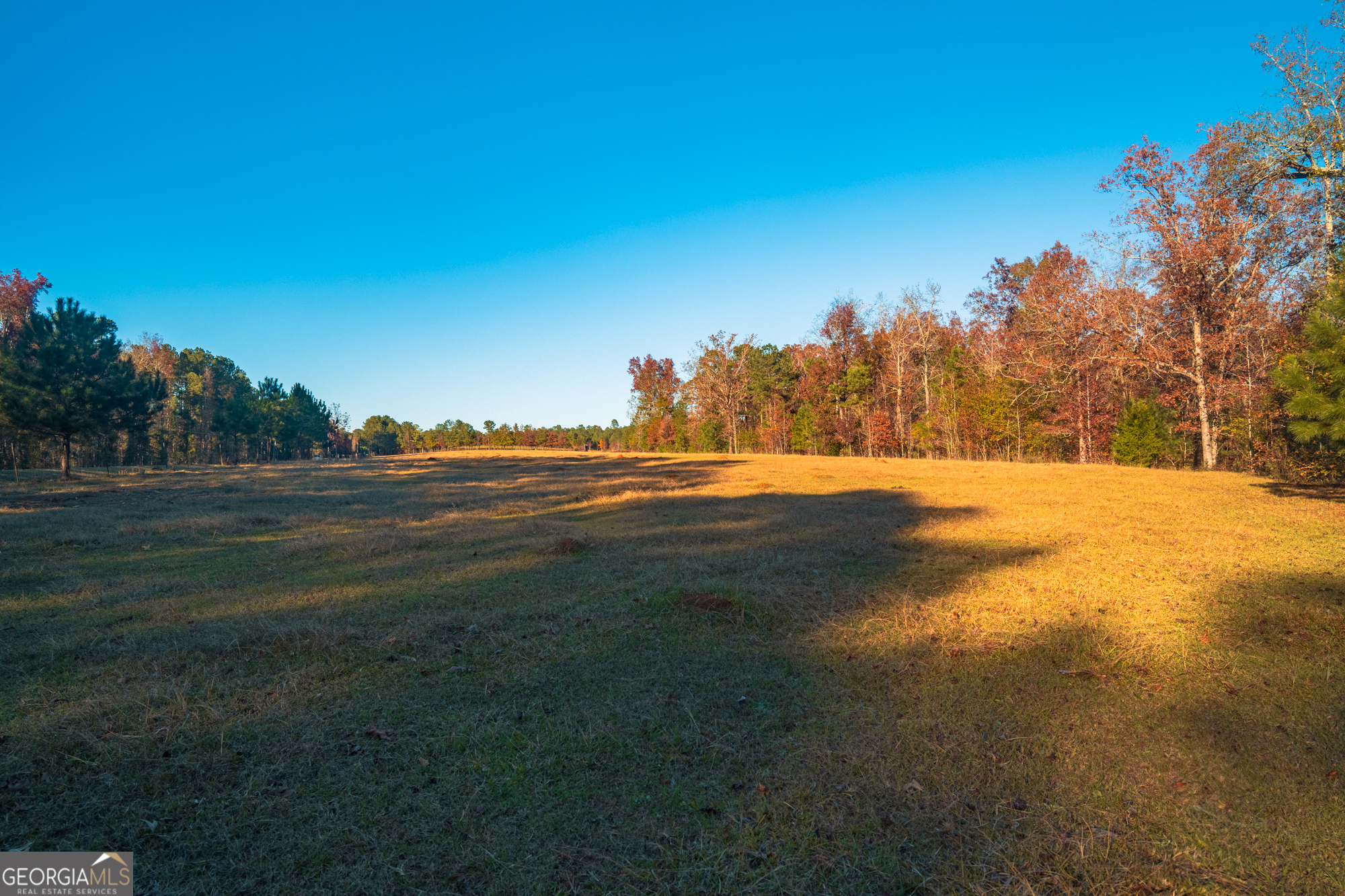 0 Pine Grove Church Road Culloden, GA 31016 - Photo 5 of 7 a view of an outdoor space and yard