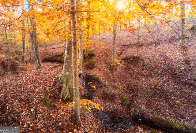 $249,999 | 0 Pine Grove Church Road, Culloden, GA 31016