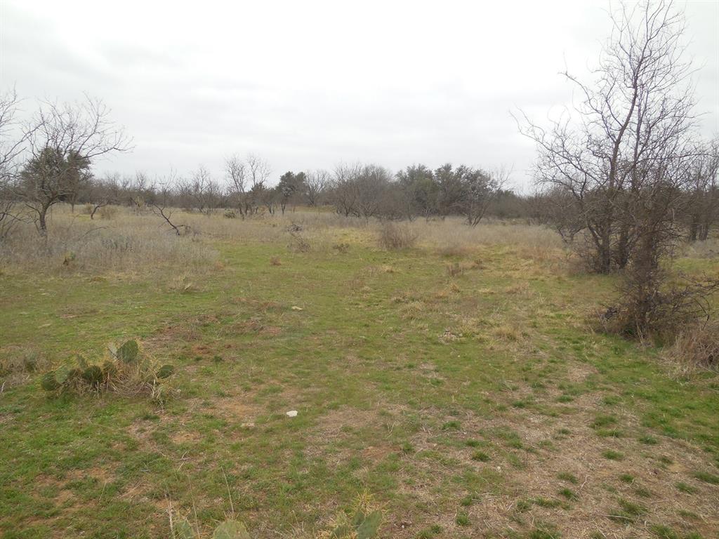 101 Ranger Tx 76470 Ranger, TX 76470 - Photo 21 of 22