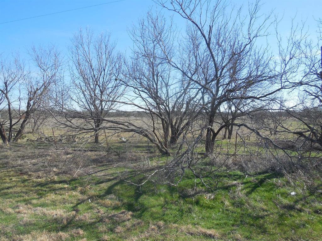 101 Ranger Tx 76470 Ranger, TX 76470 - Photo 4 of 22