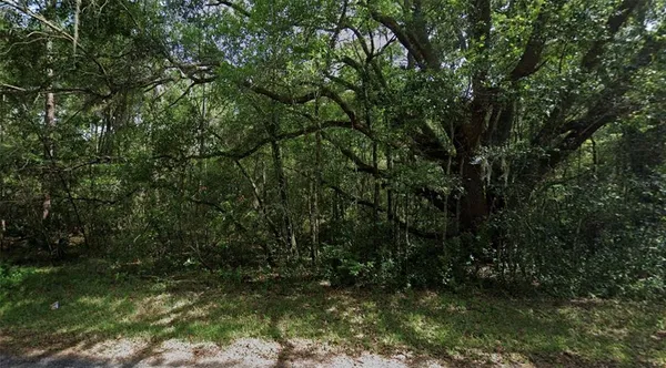 a view of outdoor space and yard