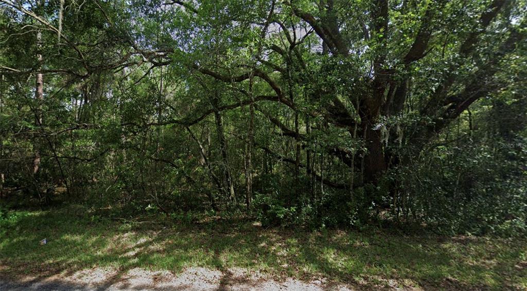 a view of outdoor space and yard