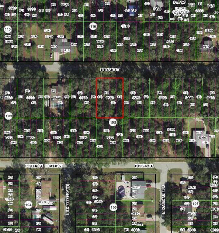 3958 East Ryan Street Inverness, FL 34453 - Photo 3 of 3