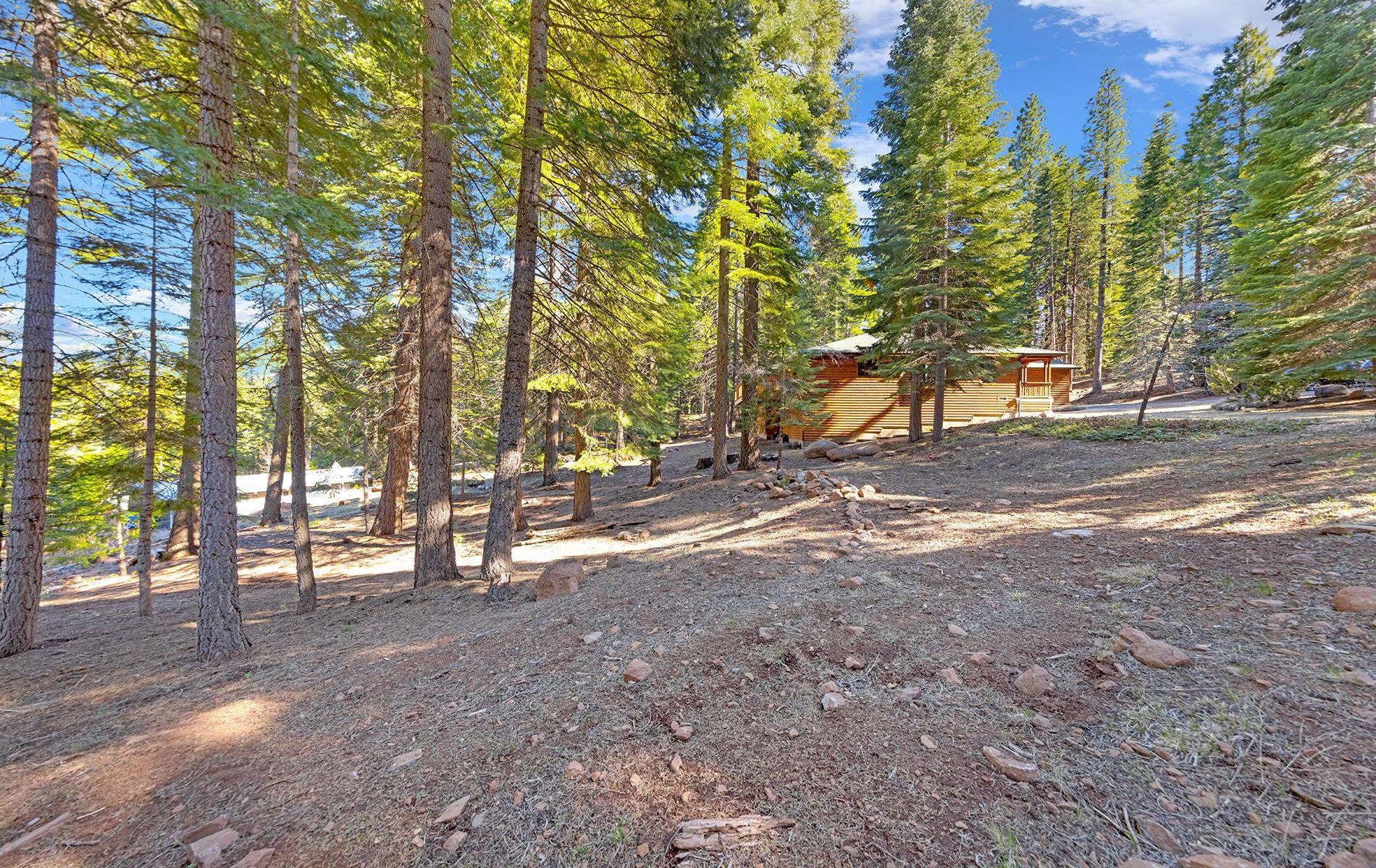 627 Deep Forest Road Lake Almanor, CA 96137 - Photo 28 of 29 a view of dirt yard with a tree