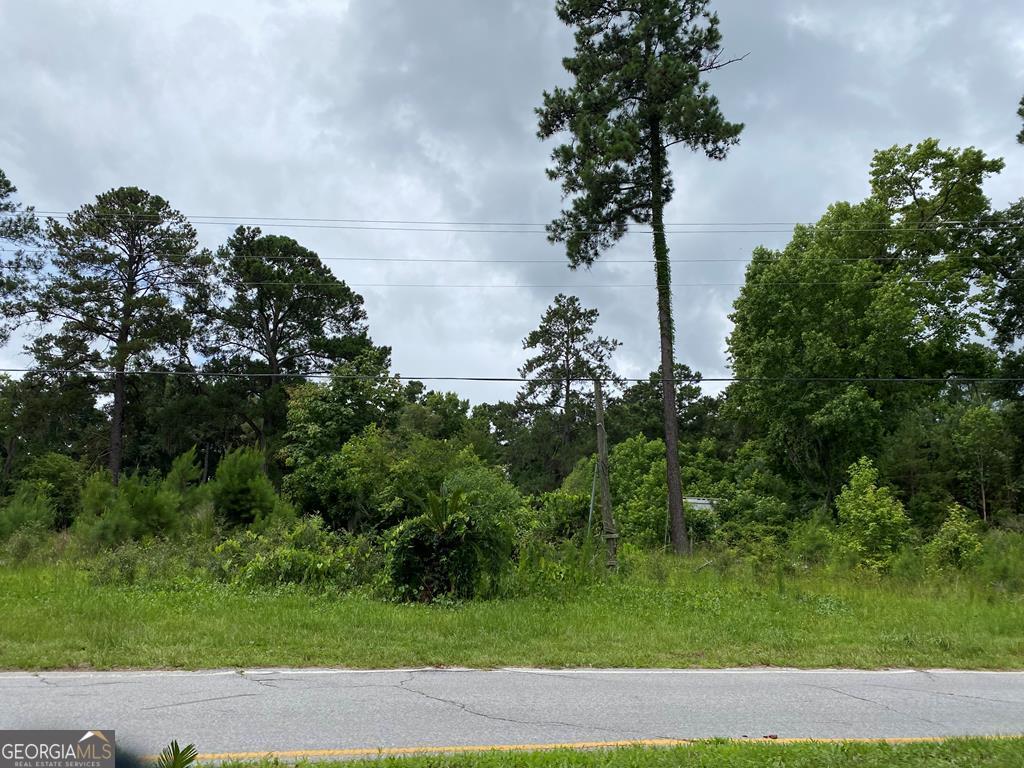 3420 Isle Of Wight Road Midway, GA 31320 - Photo 1 of 1 Main View