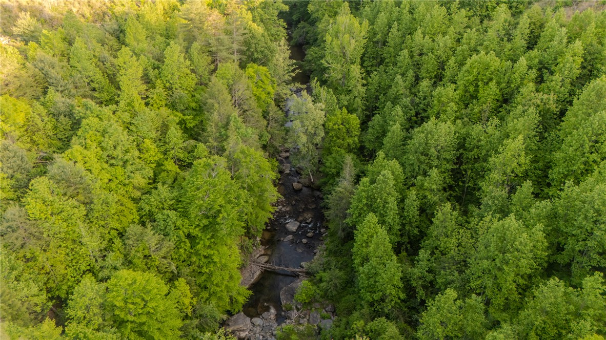 102 State Rd S-39-143 Sunset, SC 29685 - Photo 16 of 47 An aerial view showcases a vibrant forest with a serene creek winding through the lush landscape.