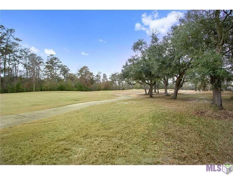 23711 Monarch Point Springfield, LA 70462 - Photo 12 of 12