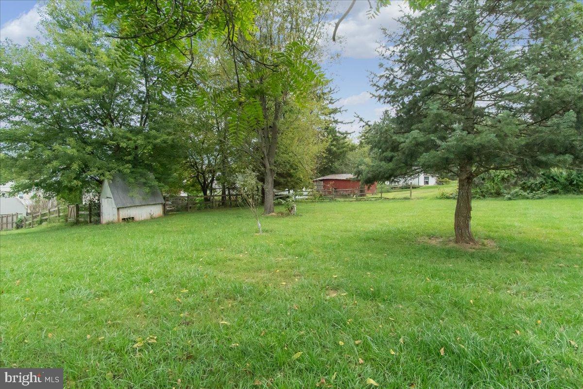 4402 Main Street Rohrersville, MD 21779 - Photo 23 of 31 Lush green yard with serene tree cover.