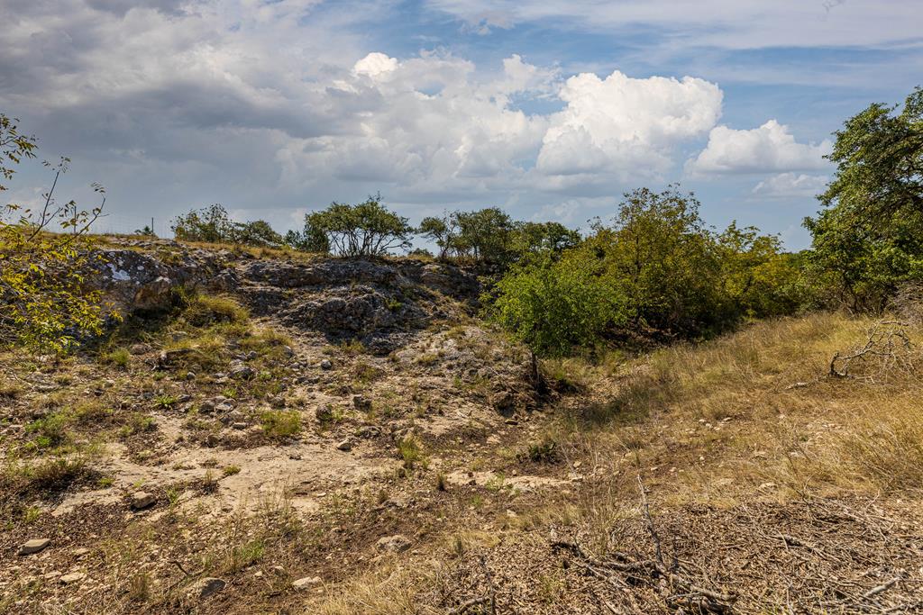 515 Lange Road Harper, TX 78631 - Photo 31 of 38 Gallery Image 31