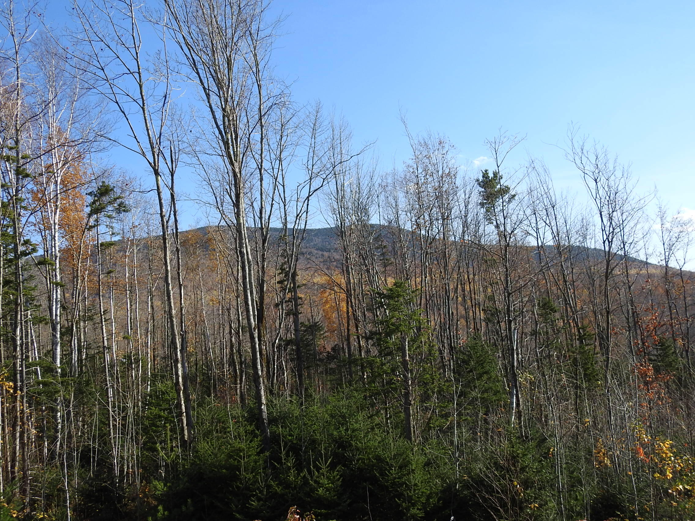 Lot C02 Puzzle Mountain Road Newry, ME 04261 - Photo 20 of 31 DSCN4979