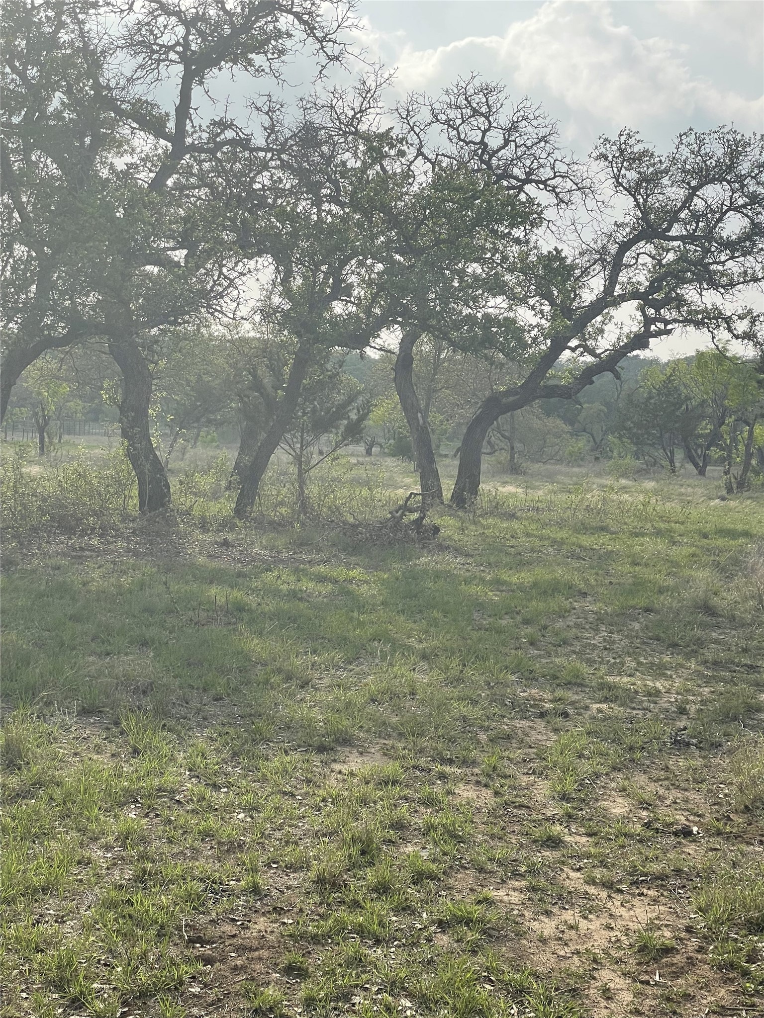 Tbd Winnie Smith Road Round Mountain, TX 78663 - Photo 23 of 30 a view of outdoor space and yard