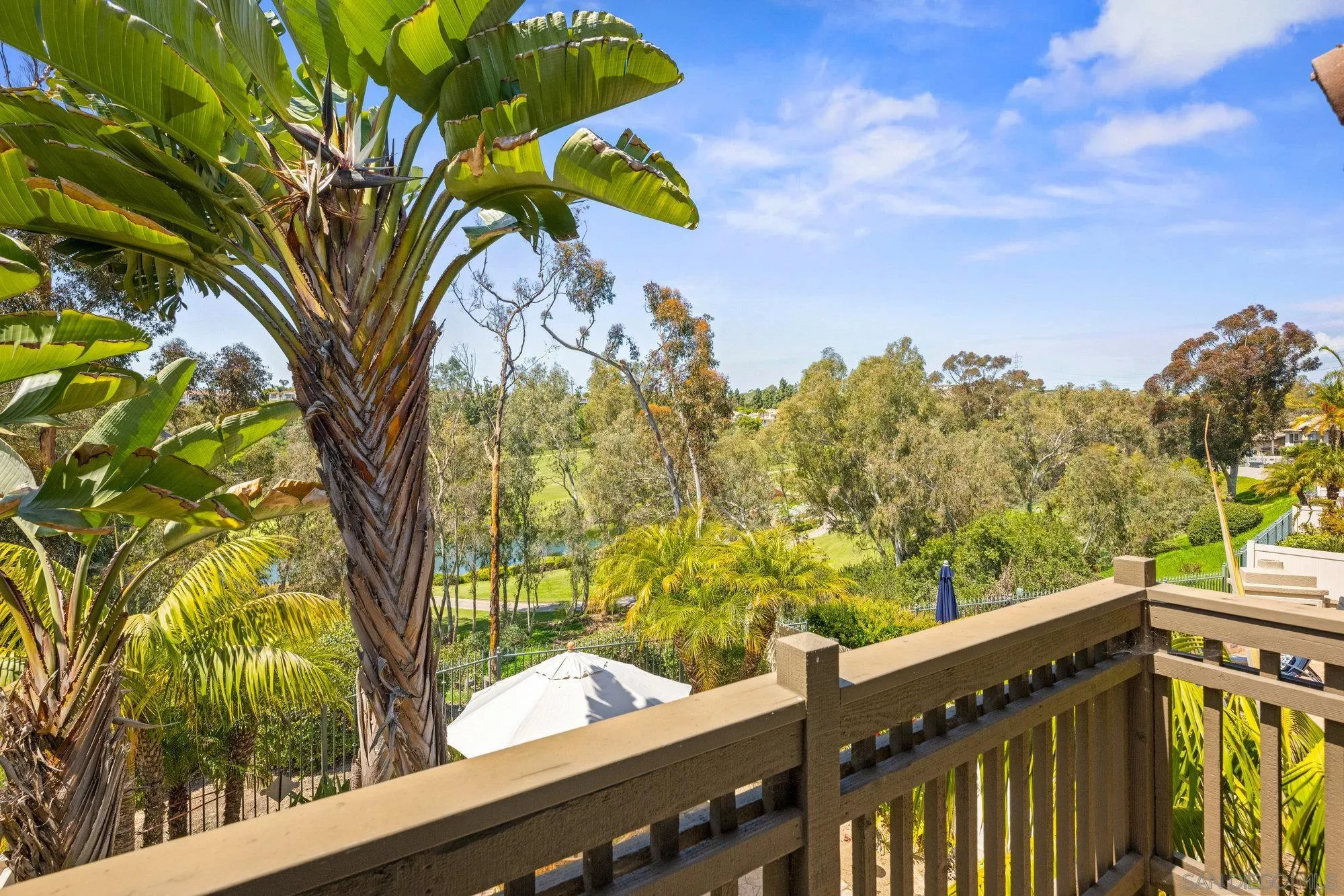 6845 Adolphia Drive Carlsbad, CA 92011 - Photo 25 of 33 a view of a house with a tree