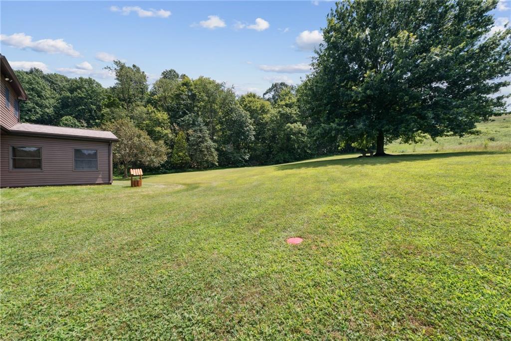 576 Stoney Run Road Blairsville, PA 15717 - Photo 7 of 21 a view of outdoor space and yard