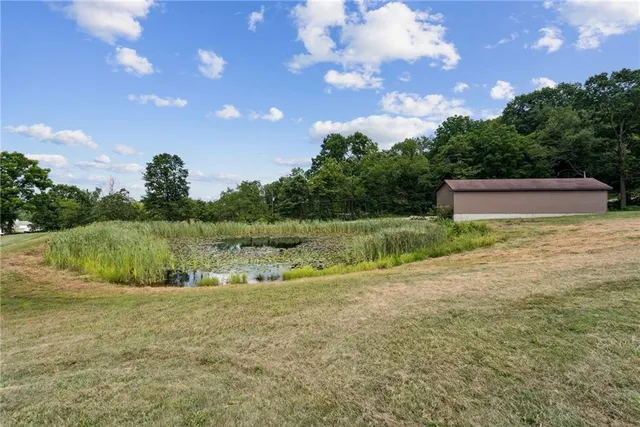 a backyard of a house with lots of green space