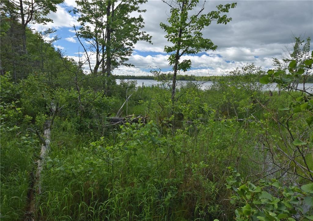 Lot 14 Little Stream Road Lincoln, ME 04457 - Photo 5 of 9 Photo
