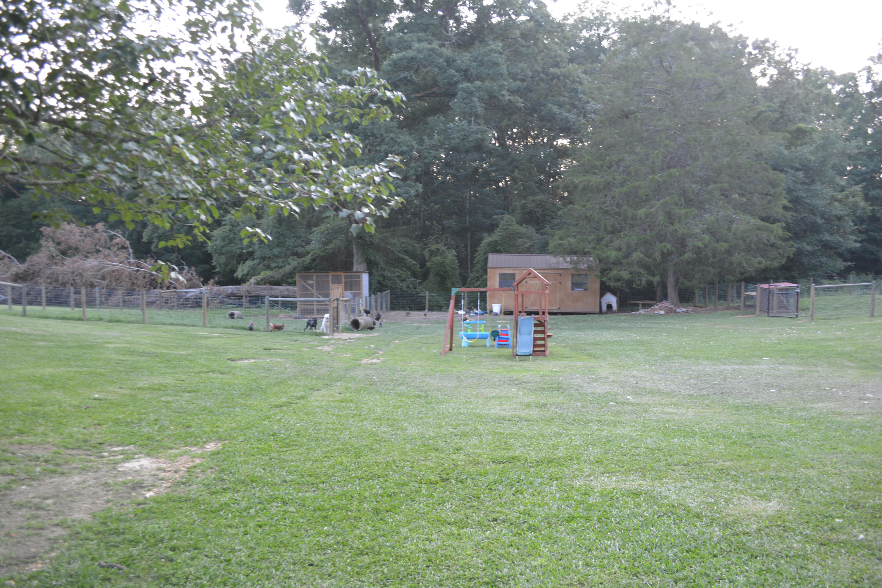 2126 Cedar Grove Road Leesville, SC 29070 - Photo 10 of 74