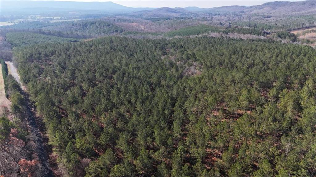 a view of a lush green hillside and a houses