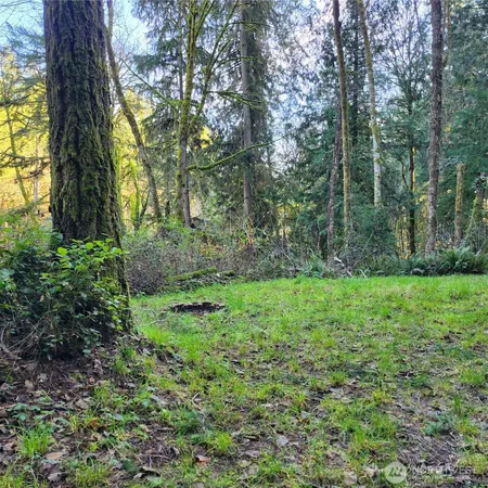a view of backyard with green space