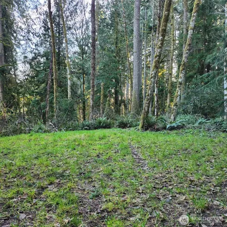 a view of outdoor space and yard