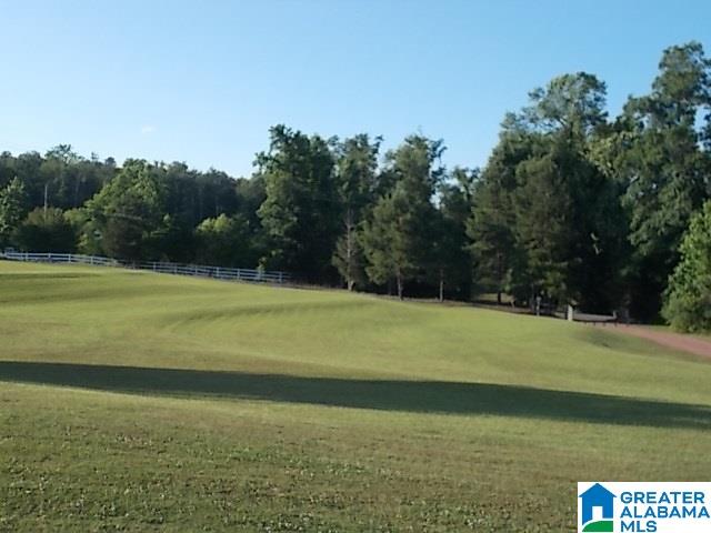 1440 Arkadelphia Road Warrior, AL 35180 - Photo 5 of 23