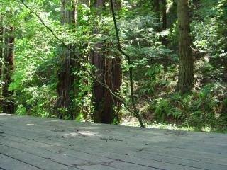 22275 Moscow Road Monte Rio, CA 95462 - Photo 4 of 5 Gallery Image 4