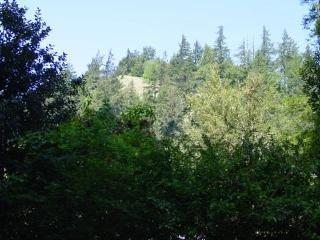 22275 Moscow Road Monte Rio, CA 95462 - Photo 5 of 5 Gallery Image 5