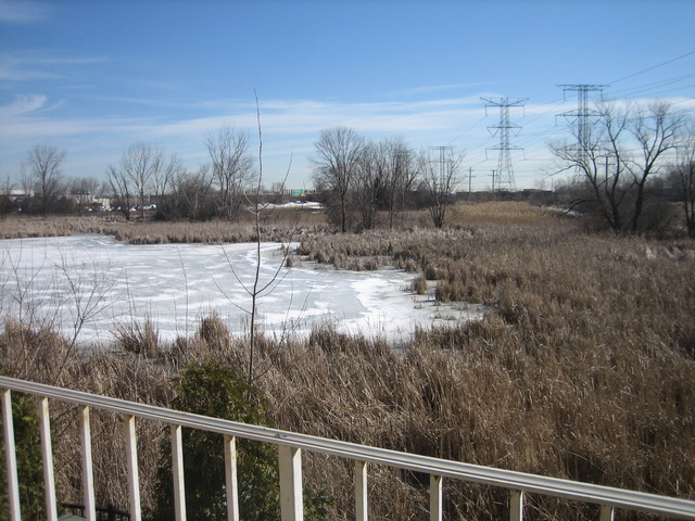 881 Swift Road, Unit 206 Addison, IL 60101 - Photo 12 of 13 a view of a backyard of the house