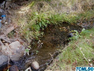 43553 North Fork Drive Three Rivers, CA 93271 - Photo 7 of 16 IRRIGATION CREEK