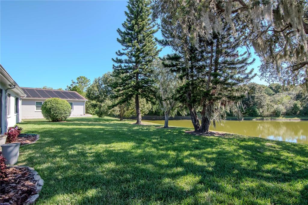 4938 Yellowstone Drive New Port Richey, FL 34655 - Photo 31 of 51