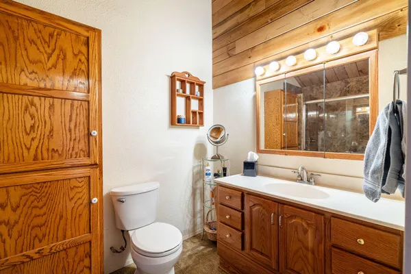 a bathroom with a sink a toilet a large mirror and shower