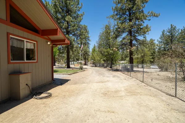 a view of a backyard with large trees