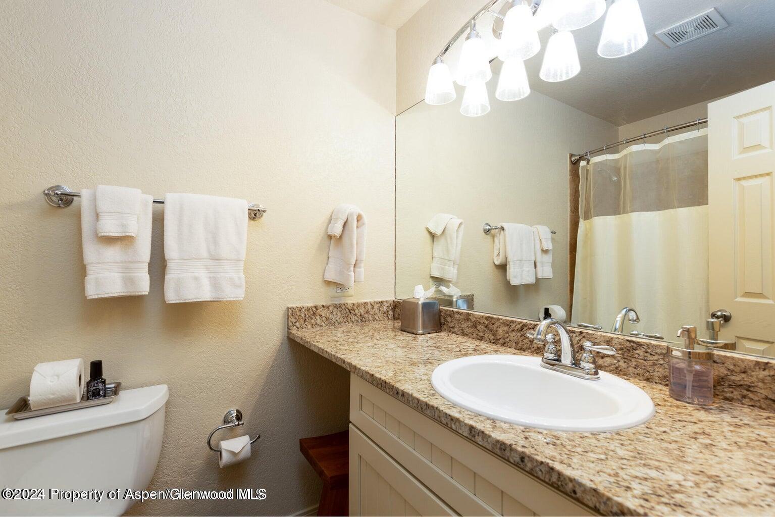 13 Pine Ridge Road Basalt, CO 81621 - Photo 12 of 14 DOWNSTAIRS SECOND BATHROOM