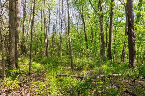 11154 Shetler Avenue Southwest, Unit 3, Bolivar, OH 44612
