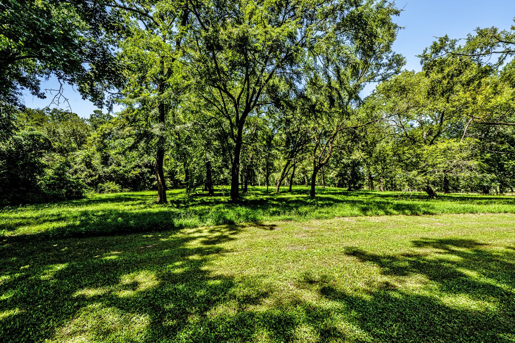 13334 Fultz Road Conroe, TX 77304 - Photo 42 of 49