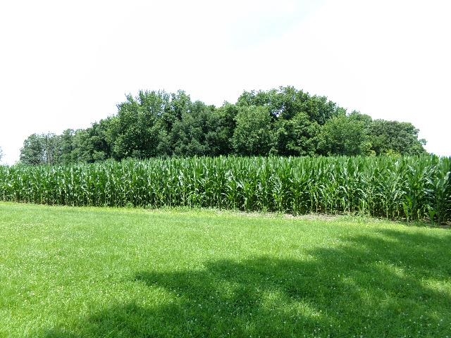 10006 Spring Road Garden Prairie, IL 61038 - Photo 13 of 13