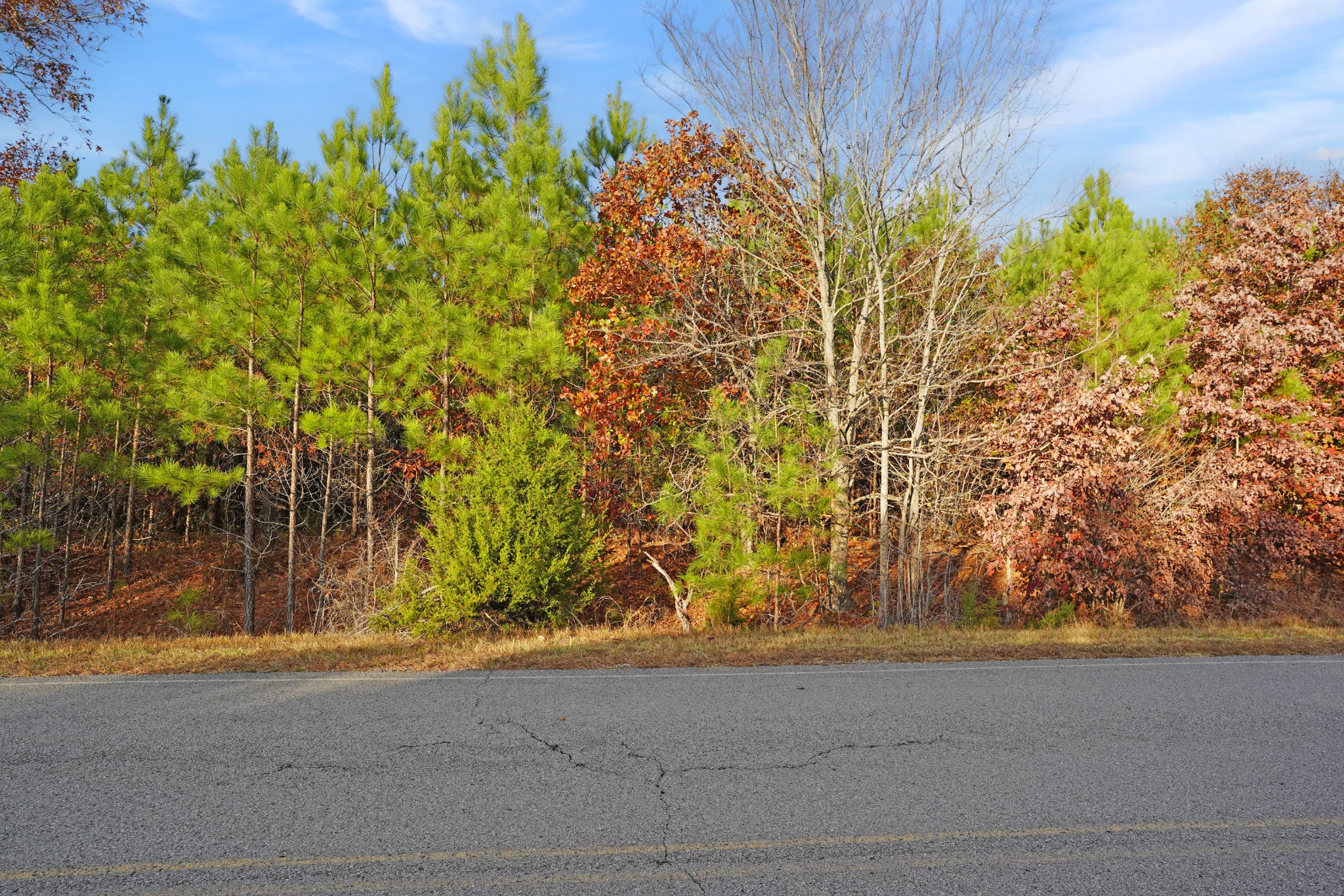 3 Walnut Grove Road Dover, TN 37058 - Photo 3 of 17 Gallery Image 3