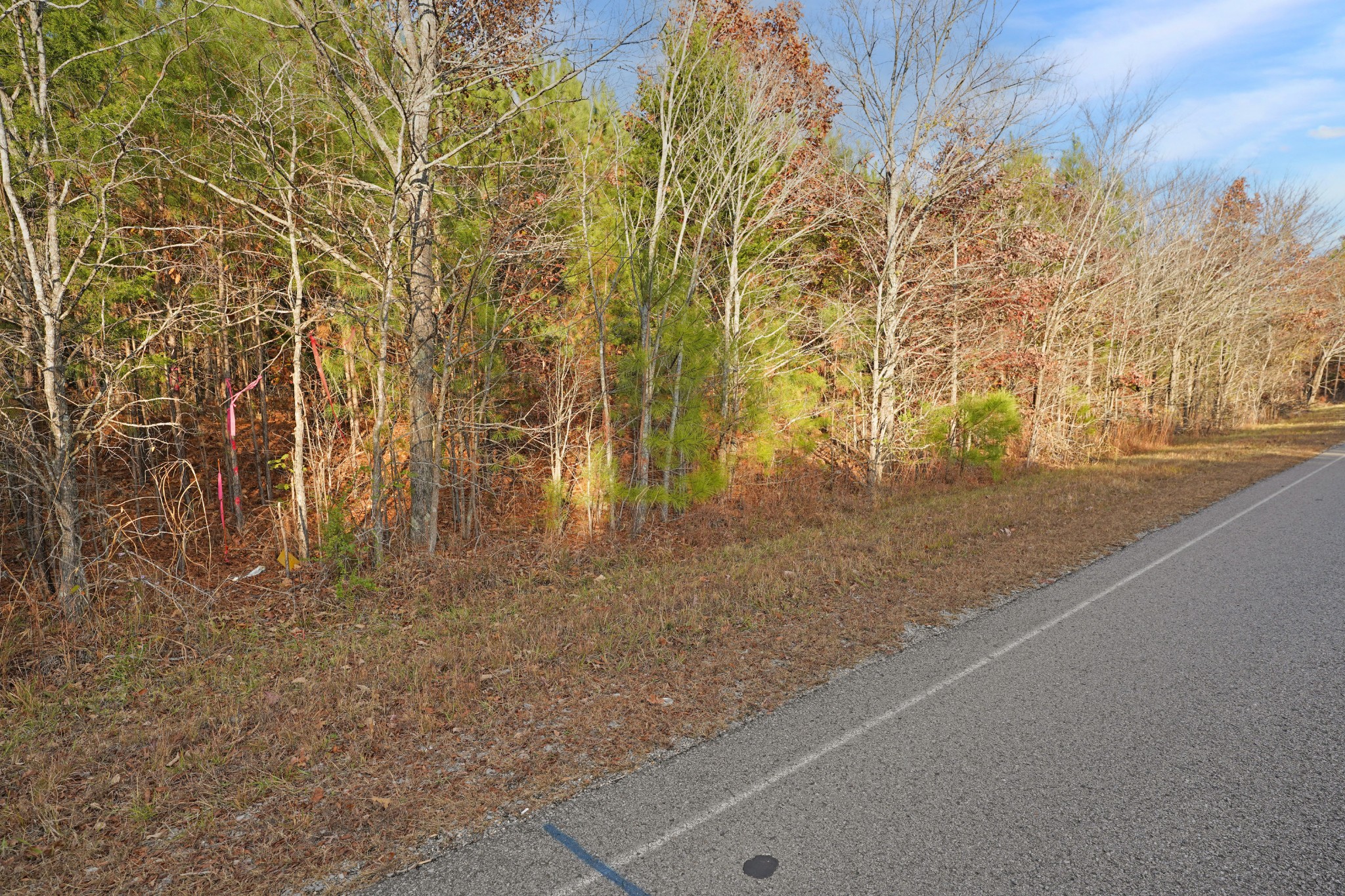 3 Walnut Grove Road Dover, TN 37058 - Photo 4 of 17 Gallery Image 4