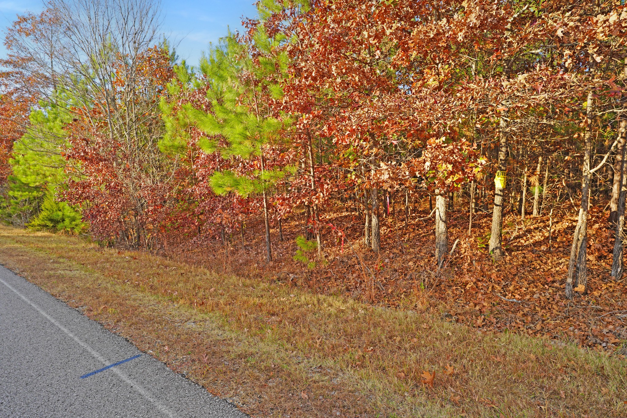 3 Walnut Grove Road Dover, TN 37058 - Photo 6 of 17 Gallery Image 6