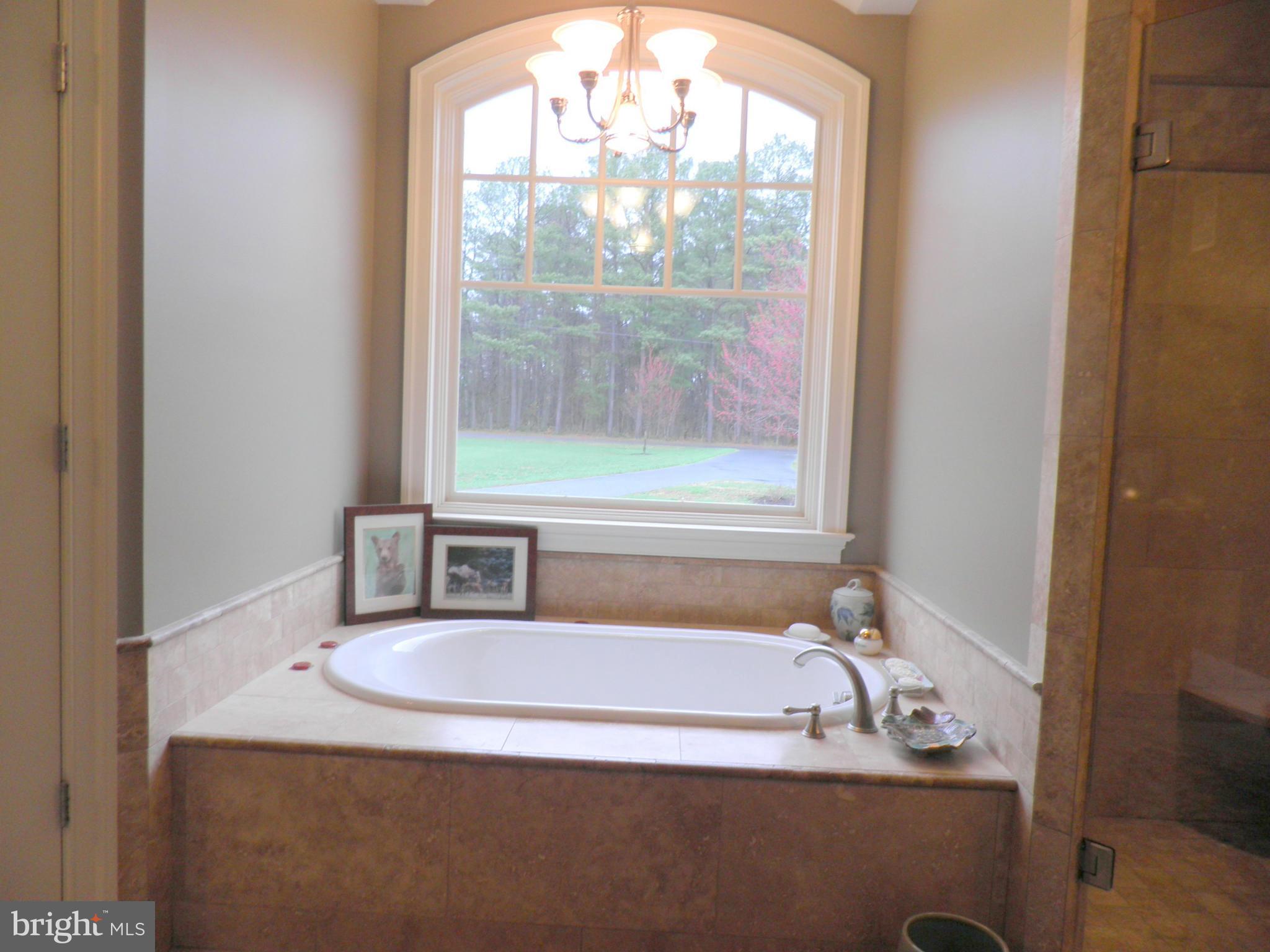 7335 Drum Point Road St. Michaels, MD 21663 - Photo 12 of 30 Soaking tub