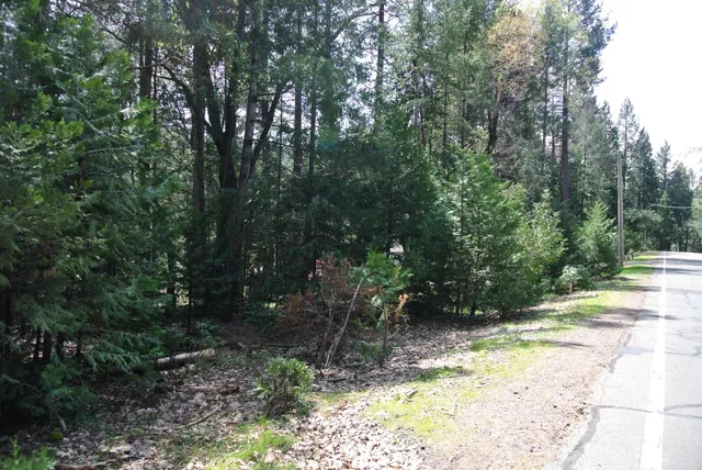 a view of backyard with green space