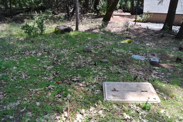 a view of a backyard